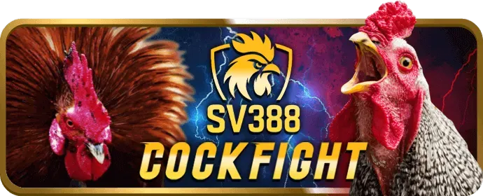 k8cc casino Đánh Giá Chi Tiết
